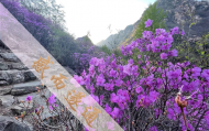 上海庙前算命先生是谁,上海哪里算卦最好