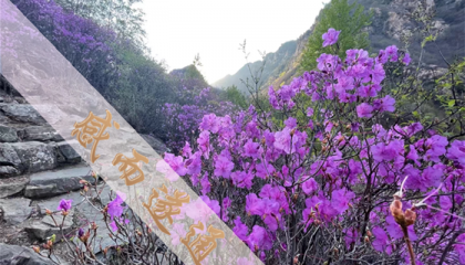 北京哪里看算命大师比较准，北京哪里有抽签算命
