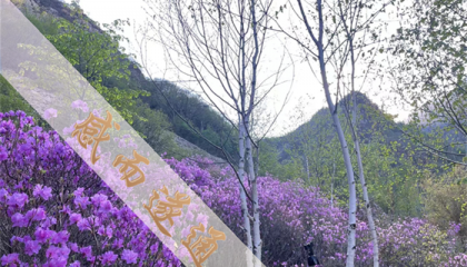 北京哪里看算命大师，北京哪里寺庙算命最准
