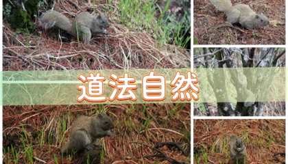 北京最灵的算命师排名榜，北京算命赵三静收费