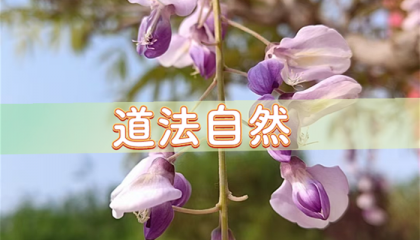 北京算卦高人前十名是谁，北京算命问事