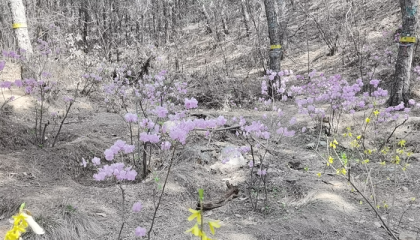 北京仙家算命,北京哪有求签算卦的庙