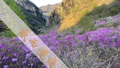 上海虹口区算命的地方,上海哪个道观可以算卦