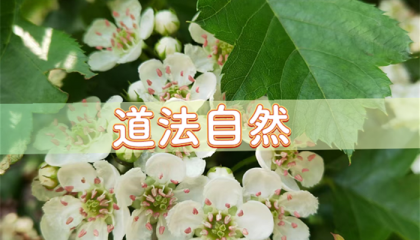 北京算卦门店有哪些地方，北京算命贵吗