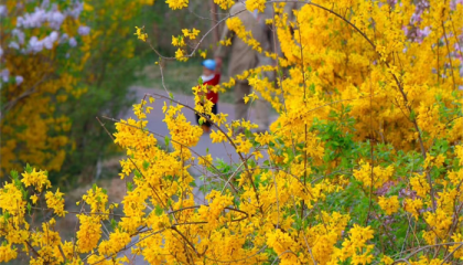北京潭柘寺有算命吗,北京市通州区算卦