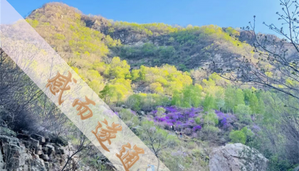北京哪里算命先生好些，北京哪家寺庙算命最准