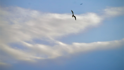 北京哪个算命准，北京算卦好去处