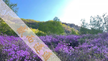 上海花园算命先生是谁,上海哪个道观算卦好一点