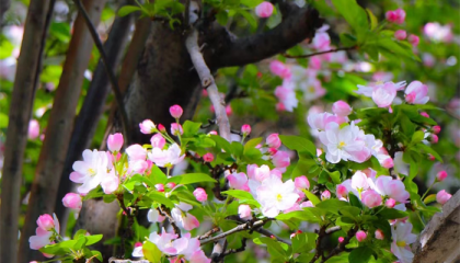 北京潭柘寺有算命大师吗,北京哪个寺庙算卦的比较准