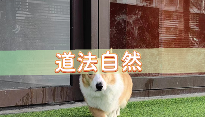 北京是用来看风水算命的吗，北京钟鼓楼附近算命