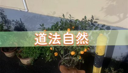 北京最大算命先生在哪里，北京算命法师排名第一