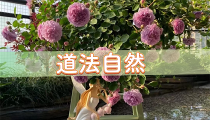 北京算卦高手，北京有什么算命