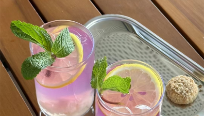 北京五道营胡同 算命师父,北京道教算卦大师排名前十