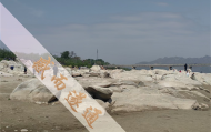 上海安亭算命大师排名,上海江场西路有算卦的吗