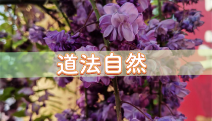 北京算卦高人前十名排名，北京道观起名算命