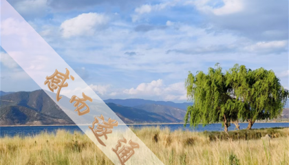 五台山算命馆在哪里啊北京,北京大学教授算命先生简介