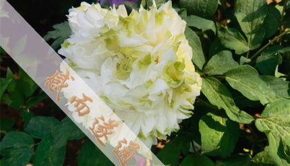 北京哪里算卦改运气最准，北京附近算命高人有哪些