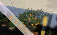 上海好的算命师傅是谁,上海哪儿有算卦算的好的地方