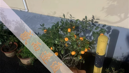 可以算卦的寺庙北京有几个，北京算卦怎么收费