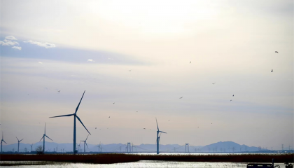 北京哪个景点有算命的，北京最有名的算命大师是谁