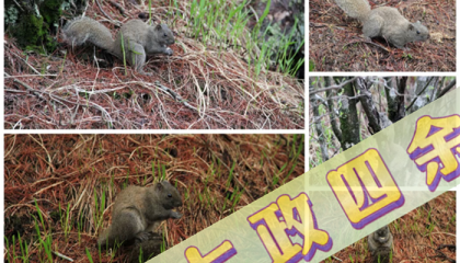 北京算命大师，北京算命大师白春茹