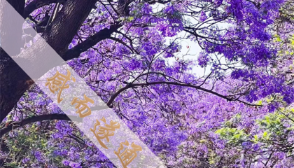 北京算卦民间高人是谁啊，北京算卦好的寺庙排名前十