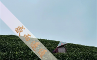 上海比较出名的算命人,上海看事算卦的地方