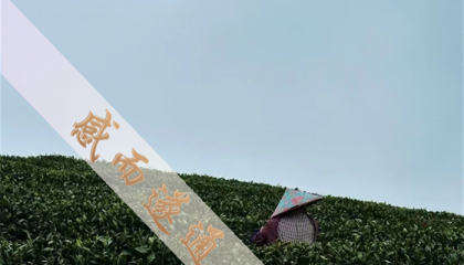 北京鼓楼算卦大师，北京算命地方大全排名榜