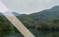 上海枫泾古镇哪里算命,上海闵行算卦先生是谁啊