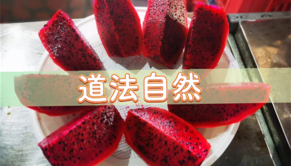 北京算命先生一条街，北京那个地方算命准